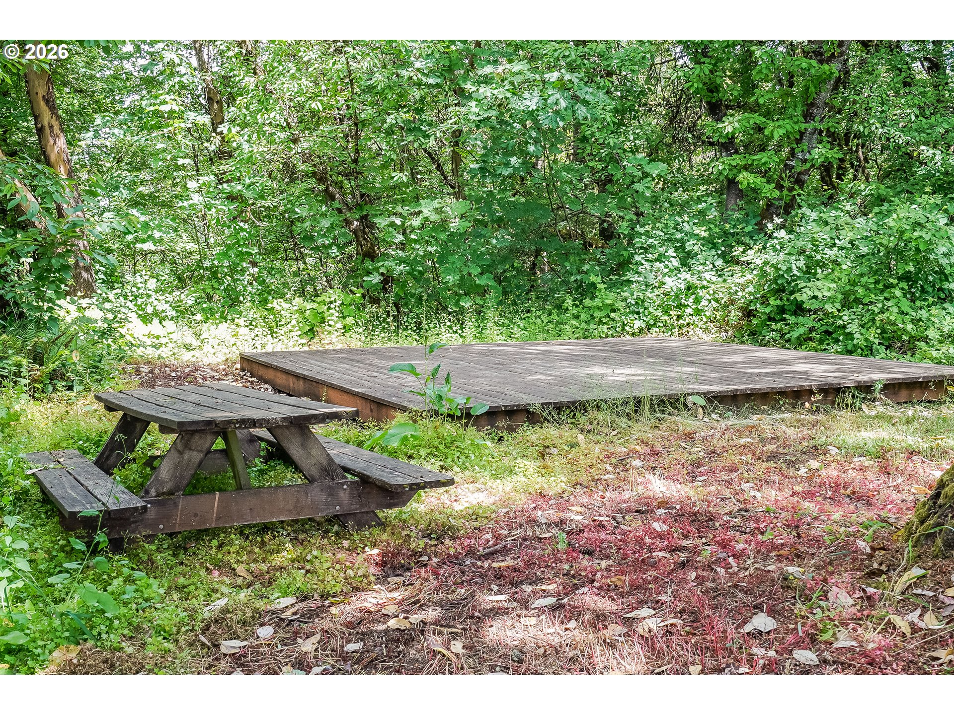 23175 Northeast Ridge Road Gaston, OR 97119 - Photo 35 of 36