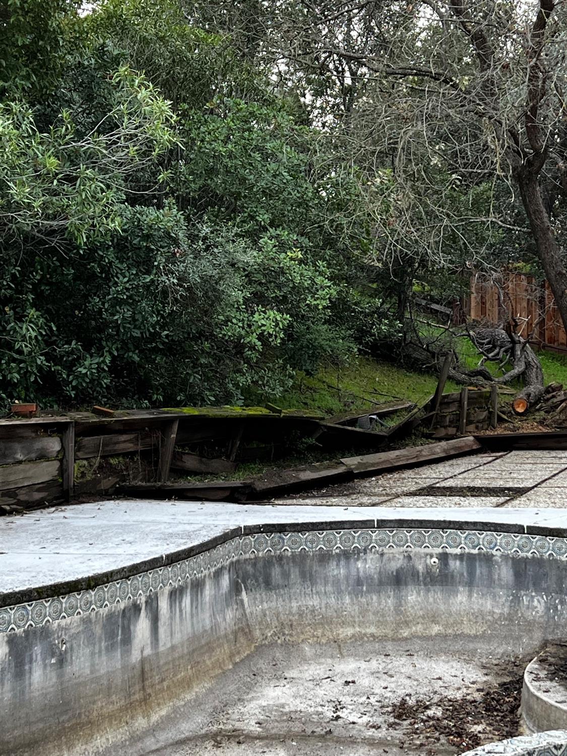 3194 Surmont Drive Lafayette, CA 94549 - Photo 11 of 40 a view of swimming pool with a yard