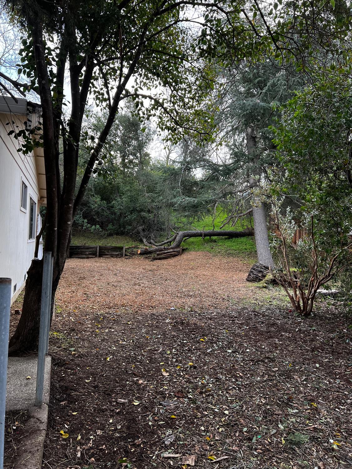 3194 Surmont Drive Lafayette, CA 94549 - Photo 34 of 40 a view of backyard with green space