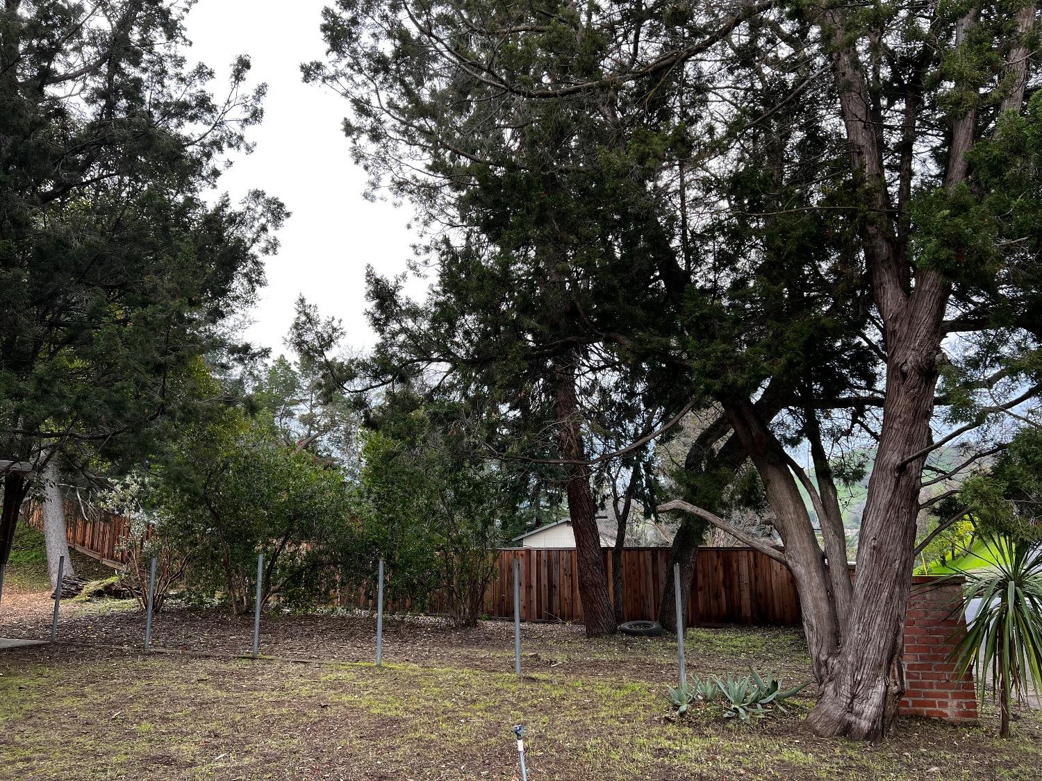 3194 Surmont Drive Lafayette, CA 94549 - Photo 35 of 40 a backyard of a house with lots of trees