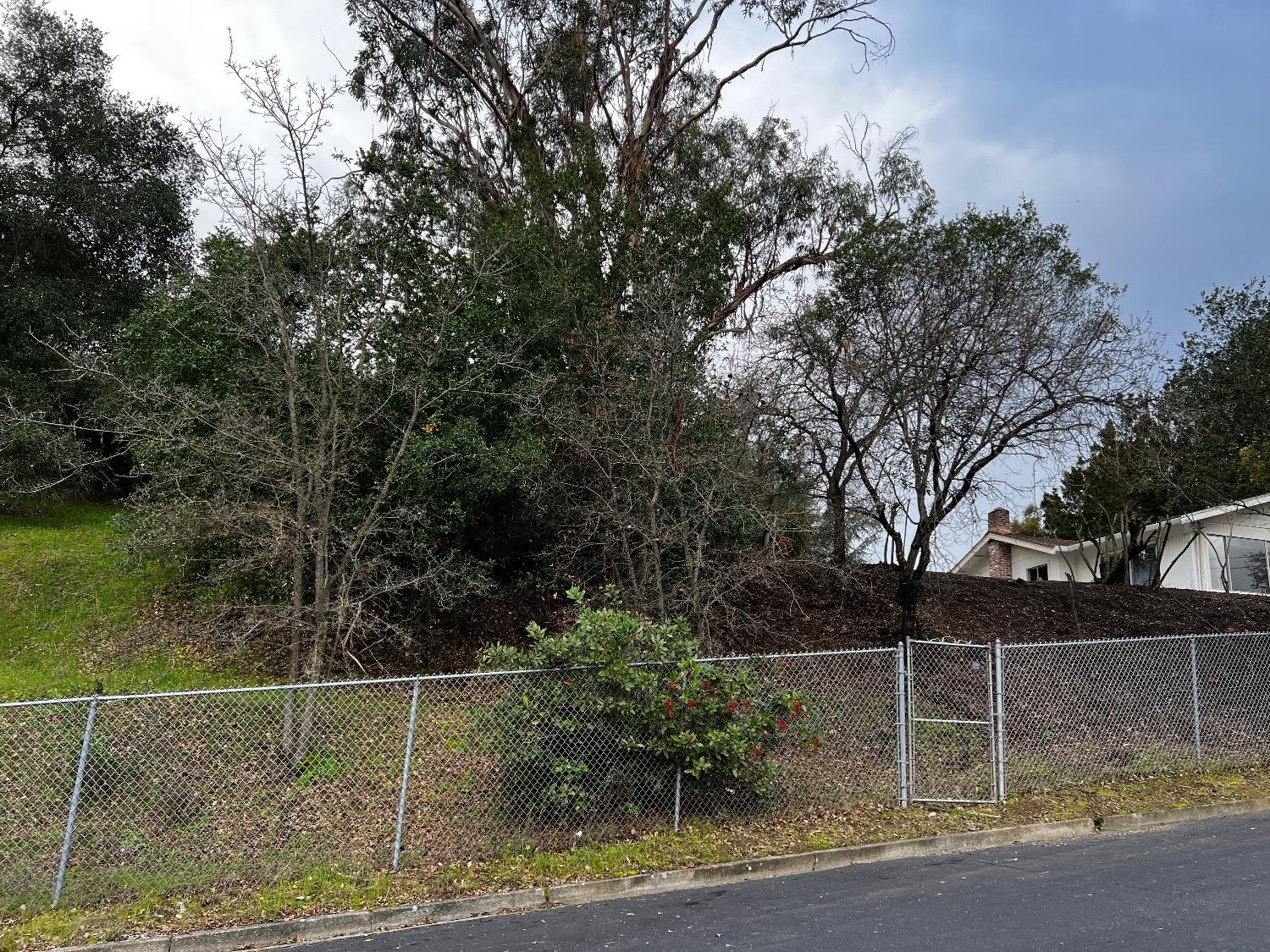 3194 Surmont Drive Lafayette, CA 94549 - Photo 37 of 40 a backyard of a house