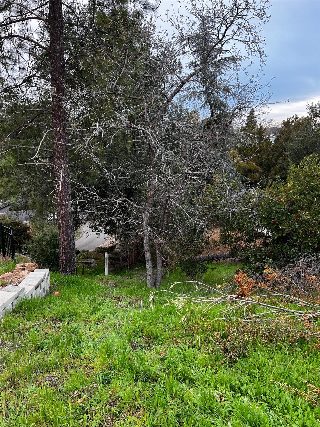 3194 Surmont Drive Lafayette, CA 94549 - Photo 5 of 40 a view of a chair and table and fire pit in the back yard