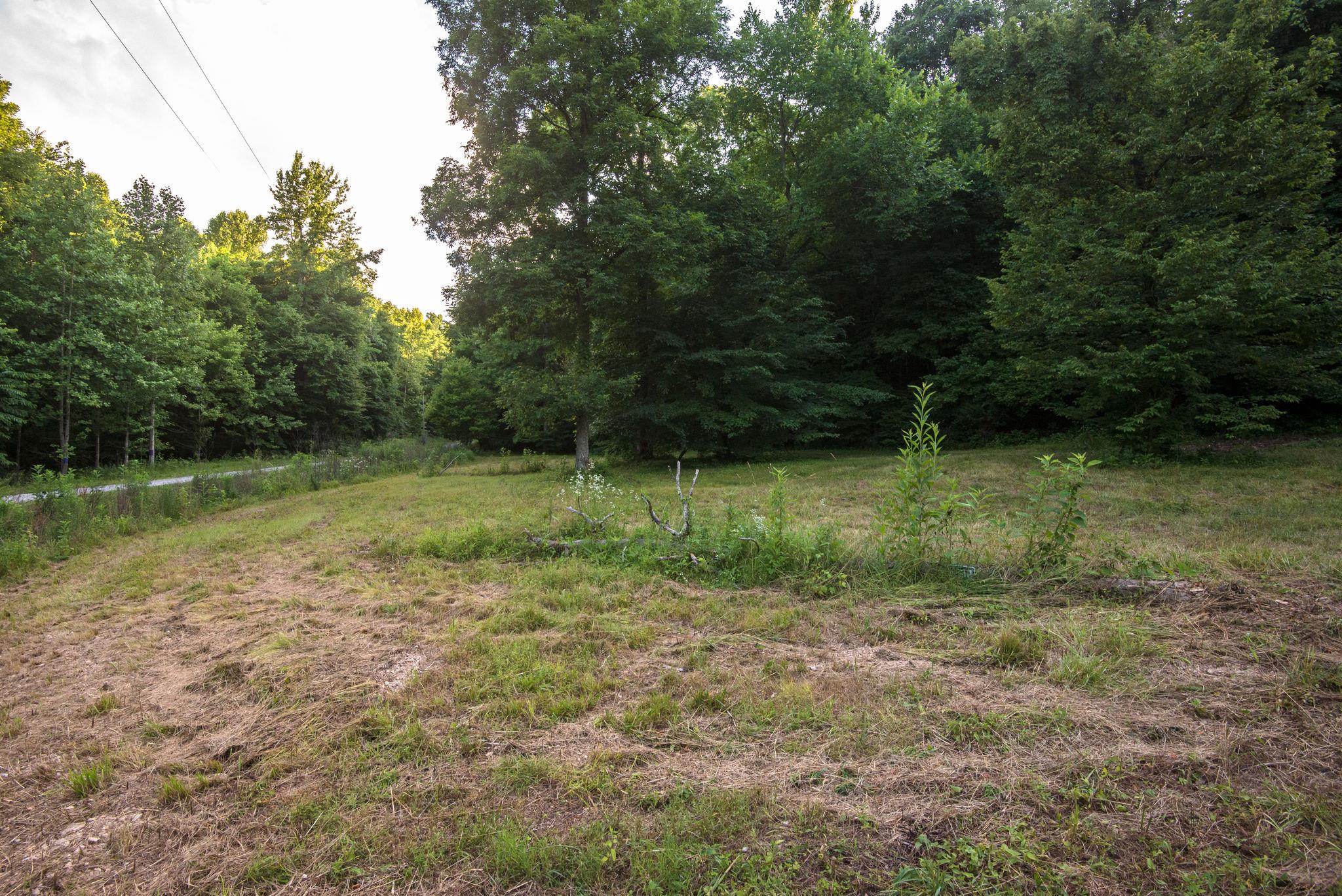 549 Porter Hollow Road Linden, TN 37096 - Photo 25 of 30 Cleared pasture at front of property could be garden or great area for farm animals.