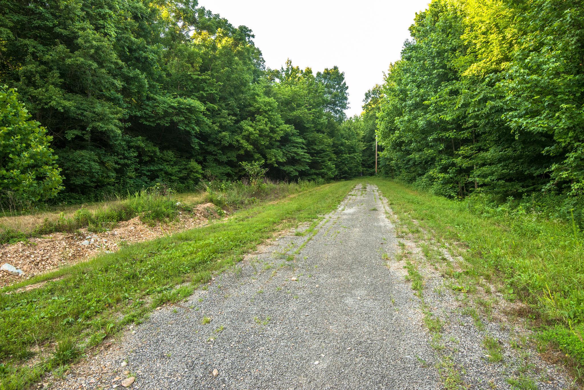 549 Porter Hollow Road Linden, TN 37096 - Photo 29 of 30 Find all this were the forest meets the road. After this amazing property, the road ends! No traffic-- feel like you are in the mountains, but only 5 minutes from the Tennessee River!
