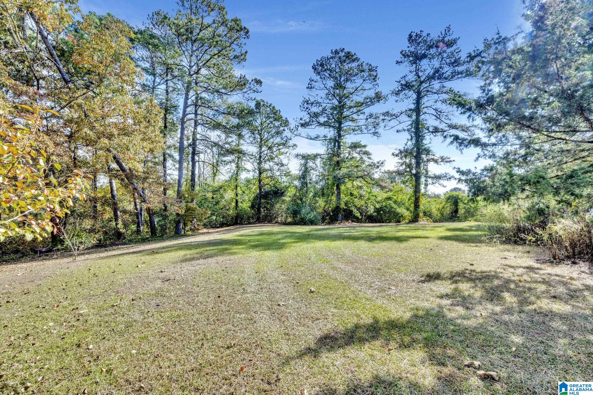 1620 Chaley Springs Road Hayden, AL 35079 - Photo 21 of 32