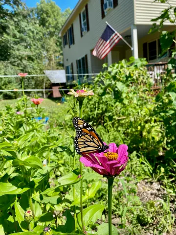 $525,000 | 44 Buttercup Lane, Antrim, NH 03440