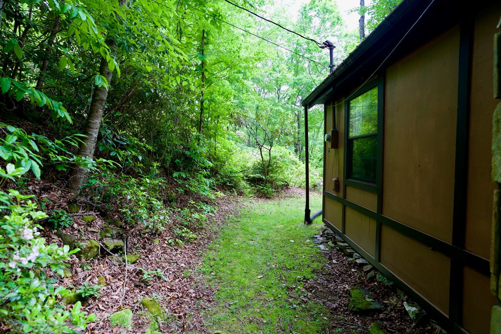 351 Mt Tabor Road Topton, NC 28781 - Photo 20 of 58