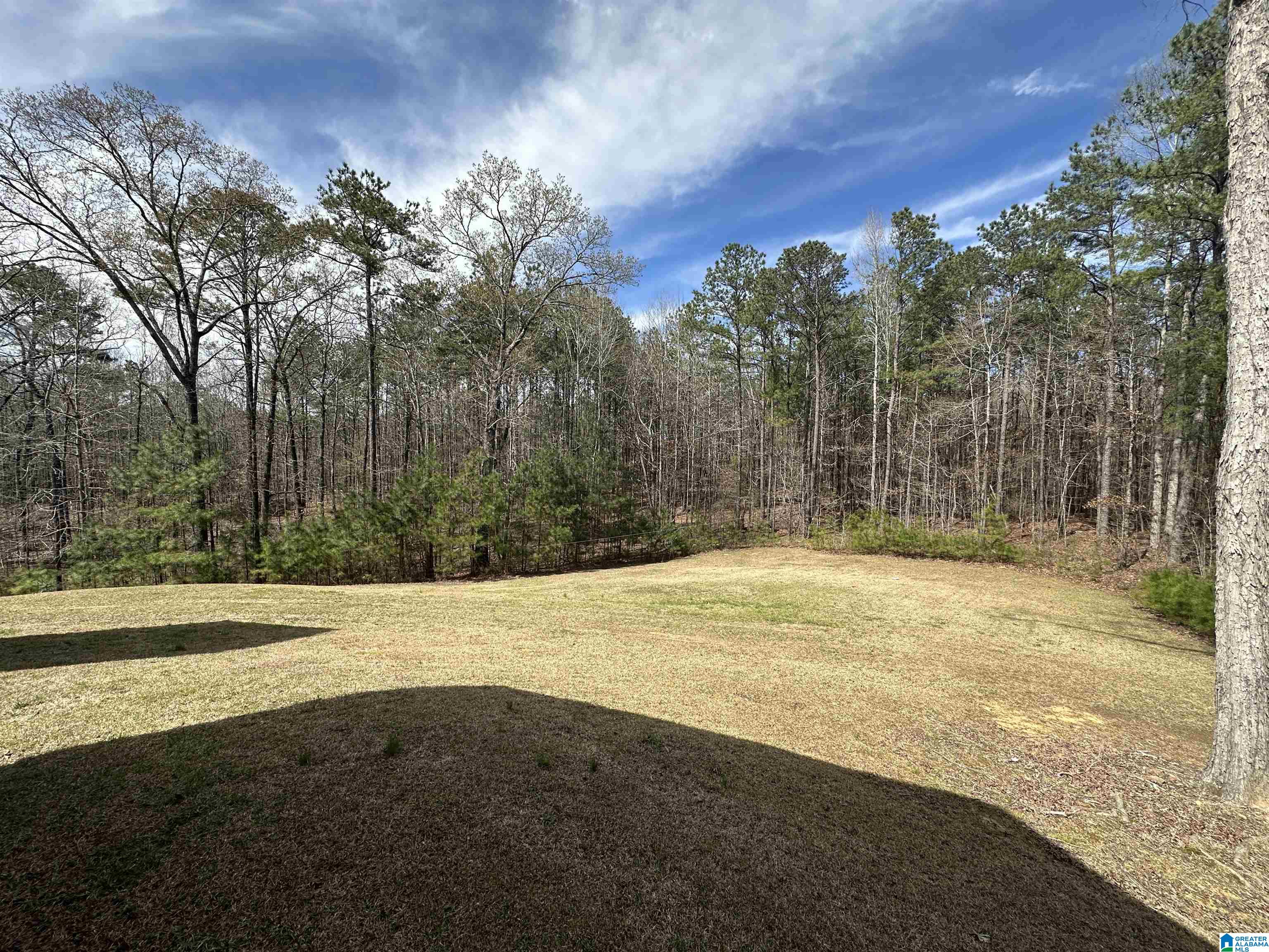 7915 Springer Road McCalla, AL 35111 - Photo 52 of 58
