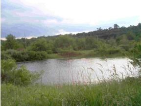 77.1 Ballou Road Owego, NY 13827 - Photo 2 of 2 Gallery Image 2