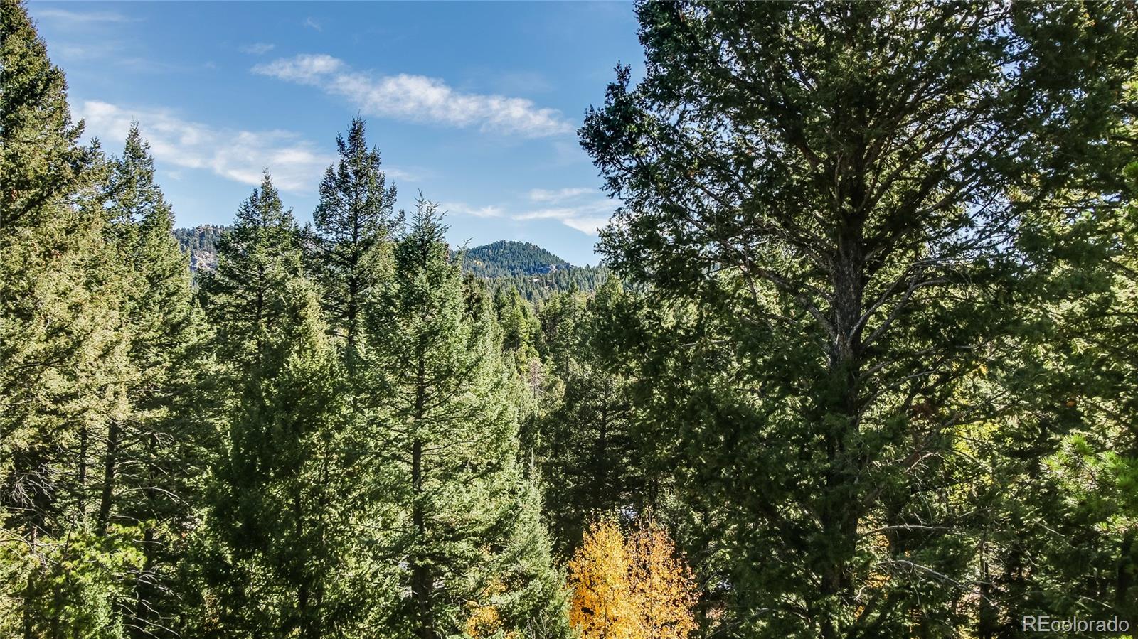 10846 Marclif Road Conifer, CO 80433 - Photo 21 of 35 Gallery Image 21