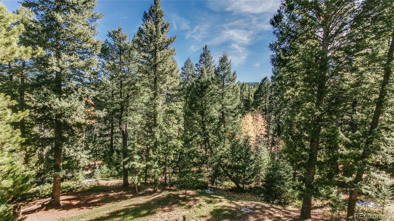 10846 Marclif Road Conifer, CO 80433 - Photo 29 of 35 Gallery Image 29