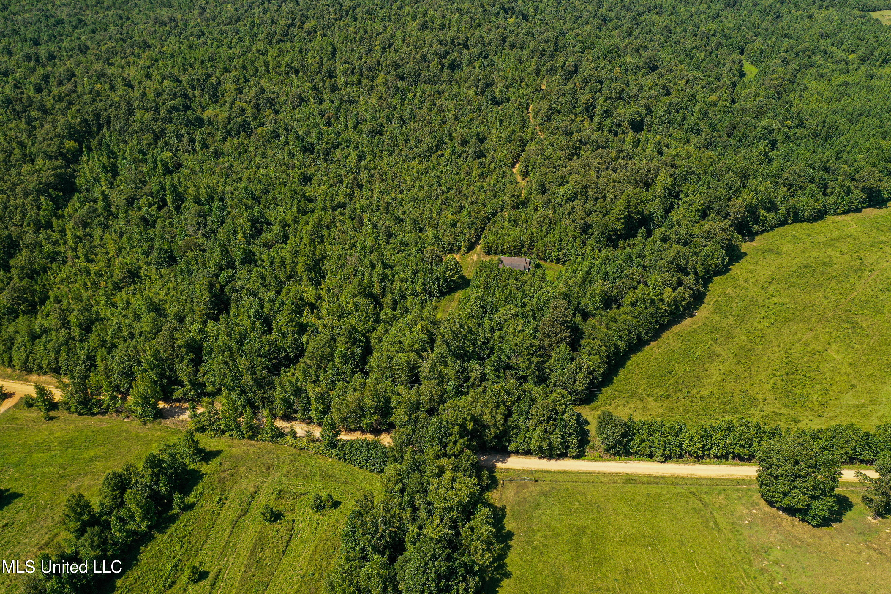 2295 Chapman Road Falkner, MS 38629 - Photo 5 of 48 DJI_0415