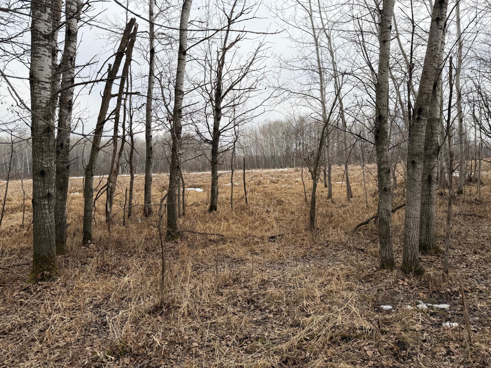 Tbd-b 180th Street Milaca, MN 56353 - Photo 58 of 80