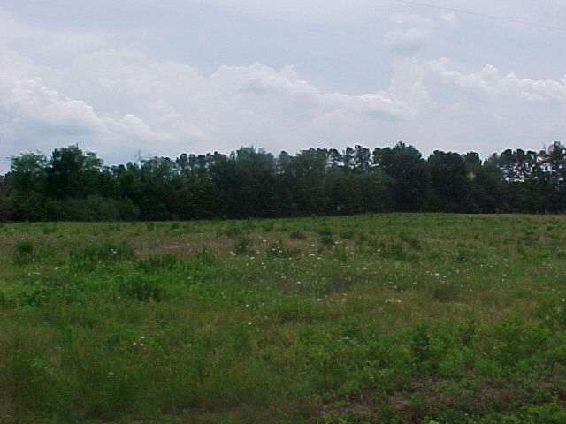 2 Tribble Road Townville, SC 29689 - Photo 1 of 4 Gallery Image 1
