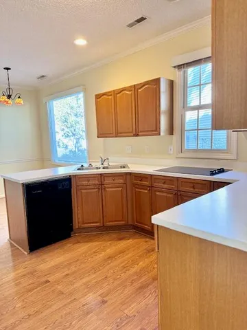 $265,000 | 9162 Spring Branch Court, North Charleston, SC 29406