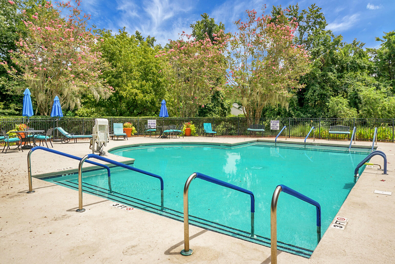 9162 Spring Branch Court North Charleston, SC 29406 - Photo 42 of 49 DSC09035