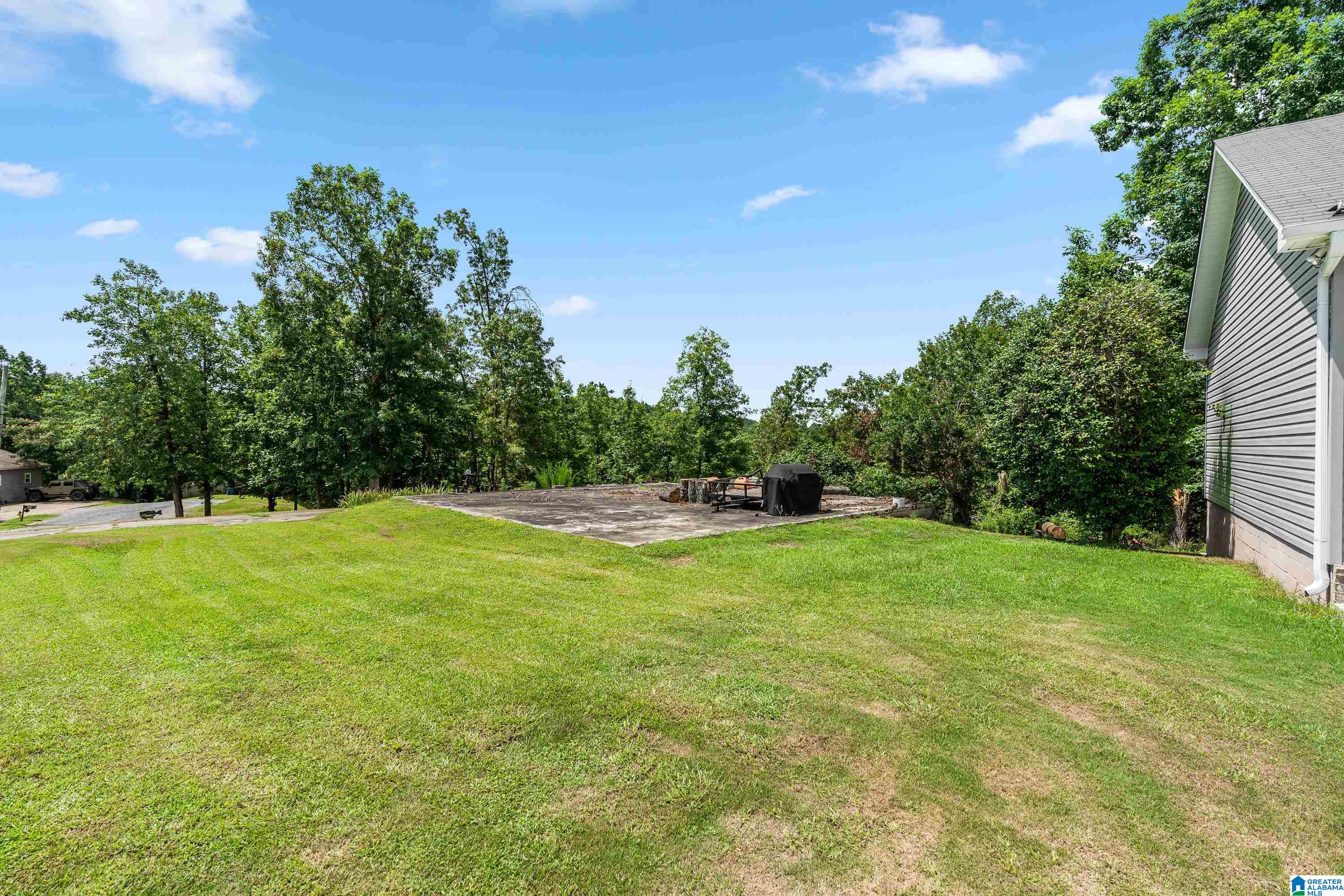 1594 Overlook Point Warrior, AL 35180 - Photo 28 of 51