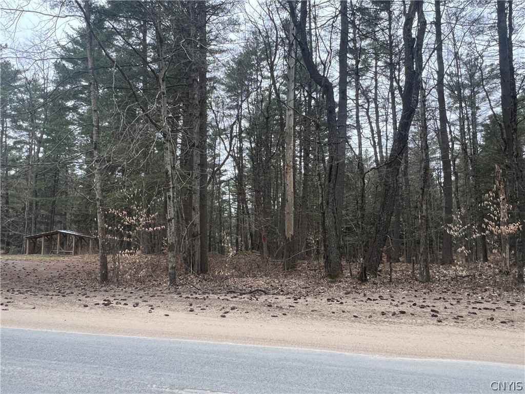 0 Partridgeville Road Brantingham, NY 13312 - Photo 1 of 1