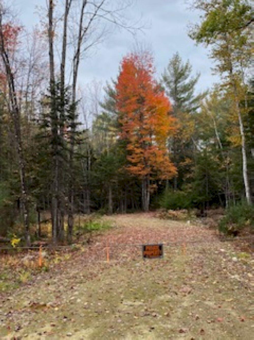 Lot 19 L15-3 Coburn Road Carthage, ME 04224 - Photo 13 of 14 IMG_3581_result