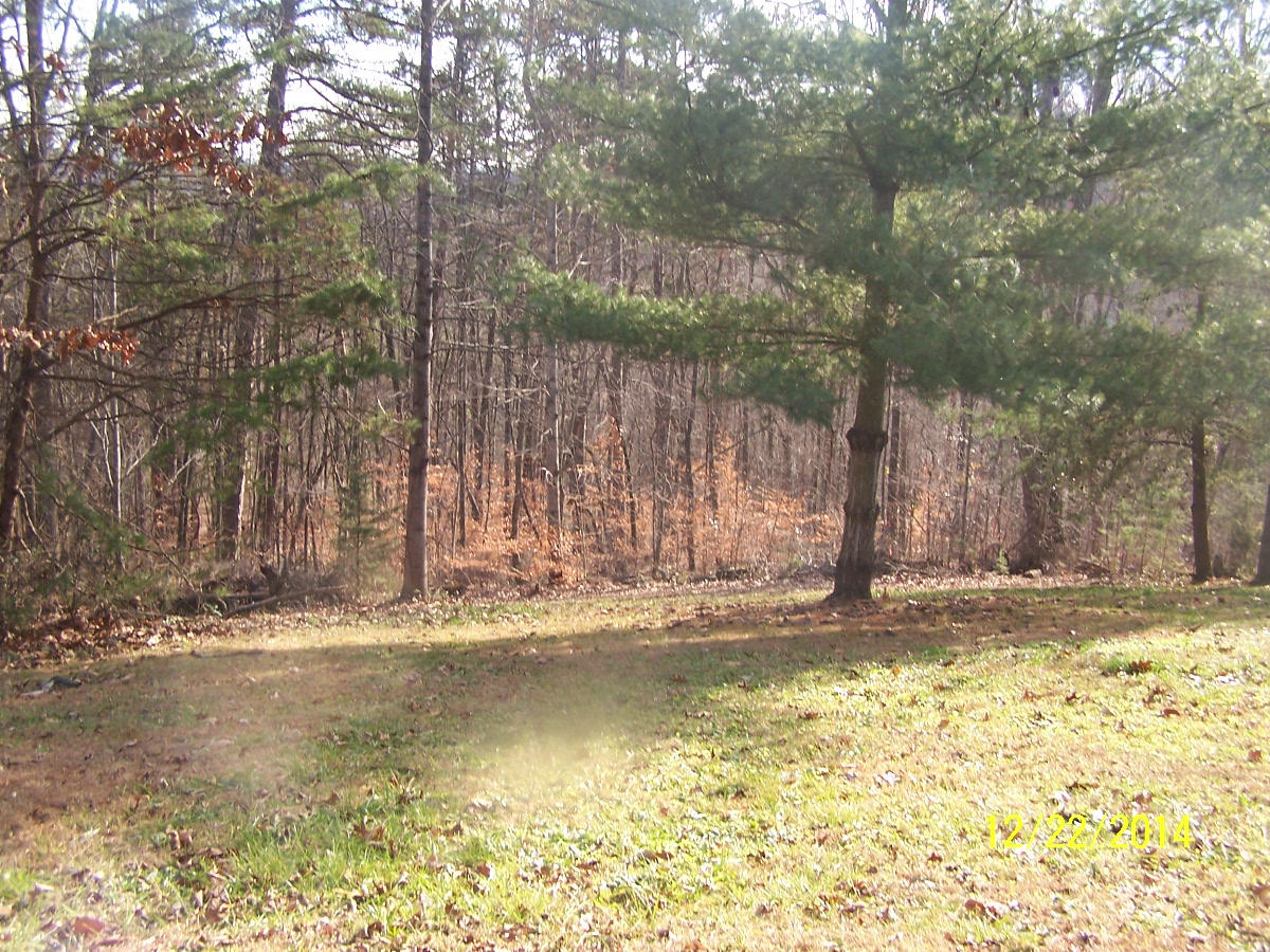 128 Booker Road Maynardville, TN 37807 - Photo 3 of 19 107_7653