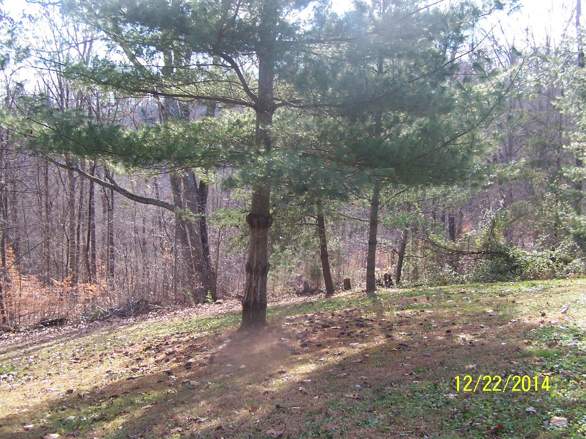 128 Booker Road Maynardville, TN 37807 - Photo 4 of 19 107_7655
