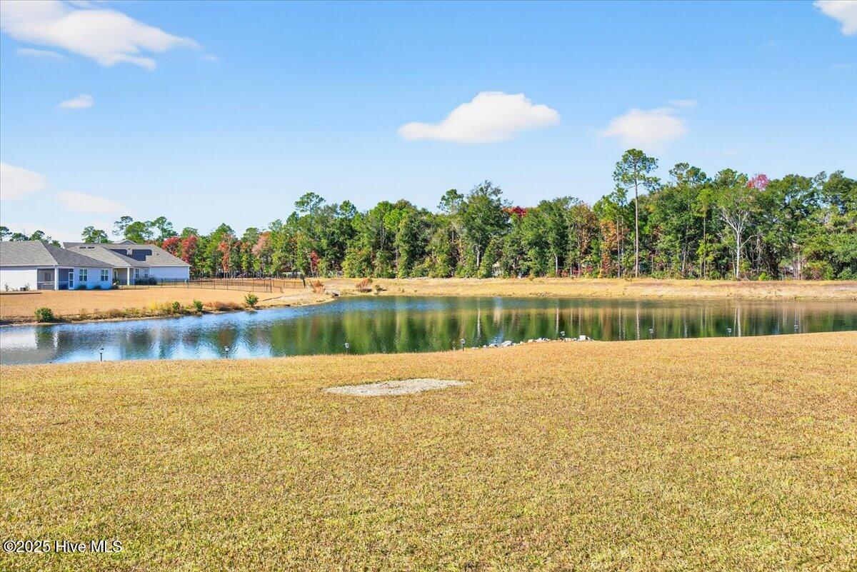 1271 Rippling Cove Loop Southwest Supply, NC 28462 - Photo 2 of 54 Pond