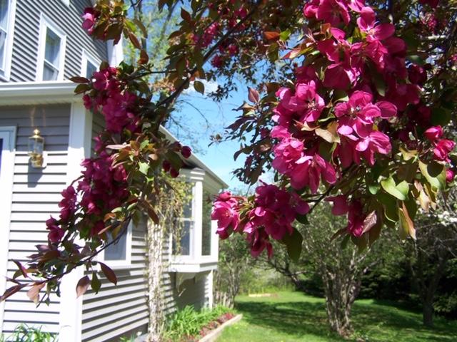 571 Muskrat Farm Road Prospect, ME 04981 - Photo 38 of 39 Spring, 2008 - Mem Day weekend 017