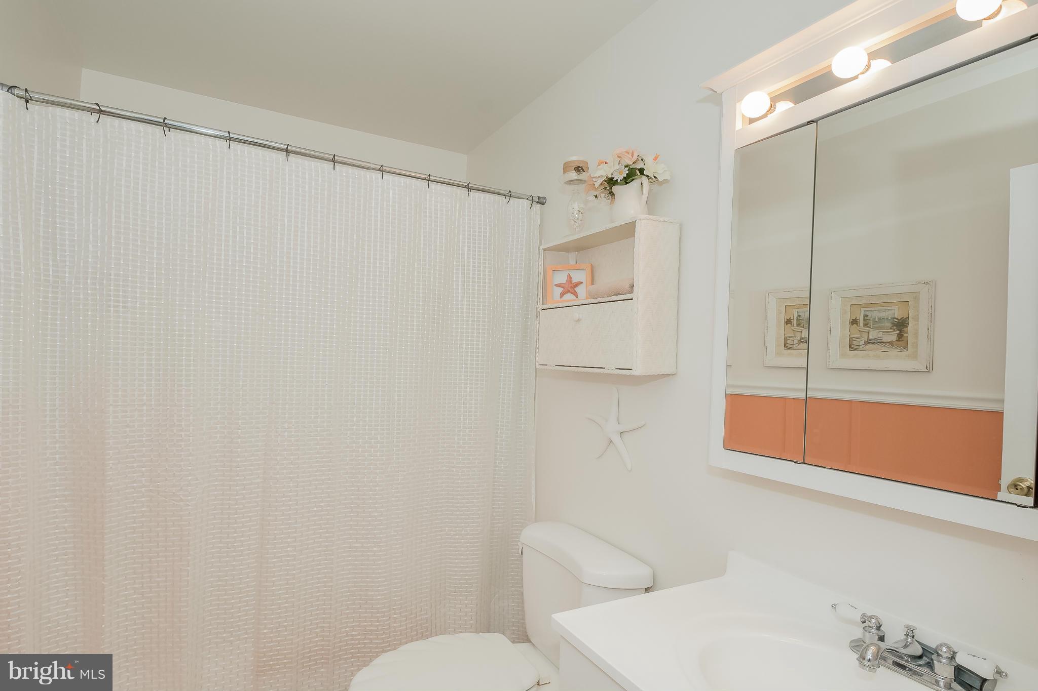 124 Highfalcon Road Reisterstown, MD 21136 - Photo 9 of 10 Full Bath