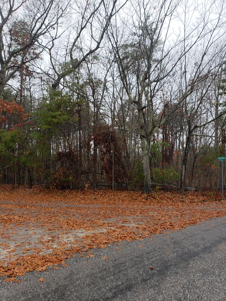 710 Abrams Road, Unit 2 Farmville, VA 23901 - Photo 1 of 1 Gallery Image 1