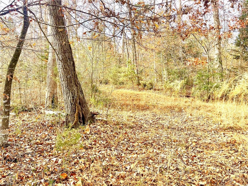 0 Old Liberty Road Randleman, NC 27317 - Photo 4 of 6 Gallery Image 4