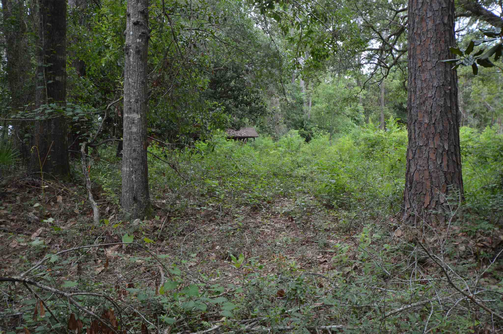 Lot 4 3rd Street Lillian, AL 36549 - Photo 9 of 11 lot 4