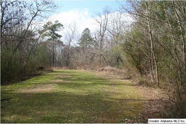 777 Carl Raines Lake Road Birmingham, AL 35244 - Photo 28 of 32