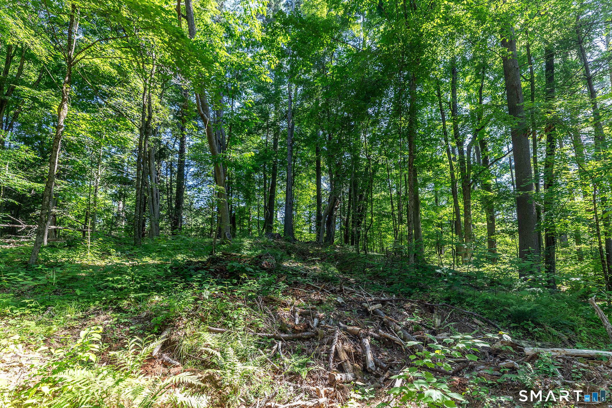 0 Great Hollow Road West Cornwall, CT 06796 - Photo 8 of 20 Gallery Image 8