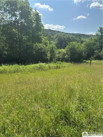 $89,000 | 2710 County Road 9, Scio, NY 14880