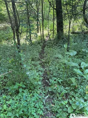 $89,000 | 2710 County Road 9, Scio, NY 14880