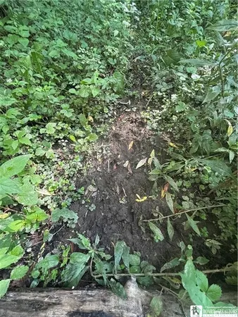 $89,000 | 2710 County Road 9, Scio, NY 14880