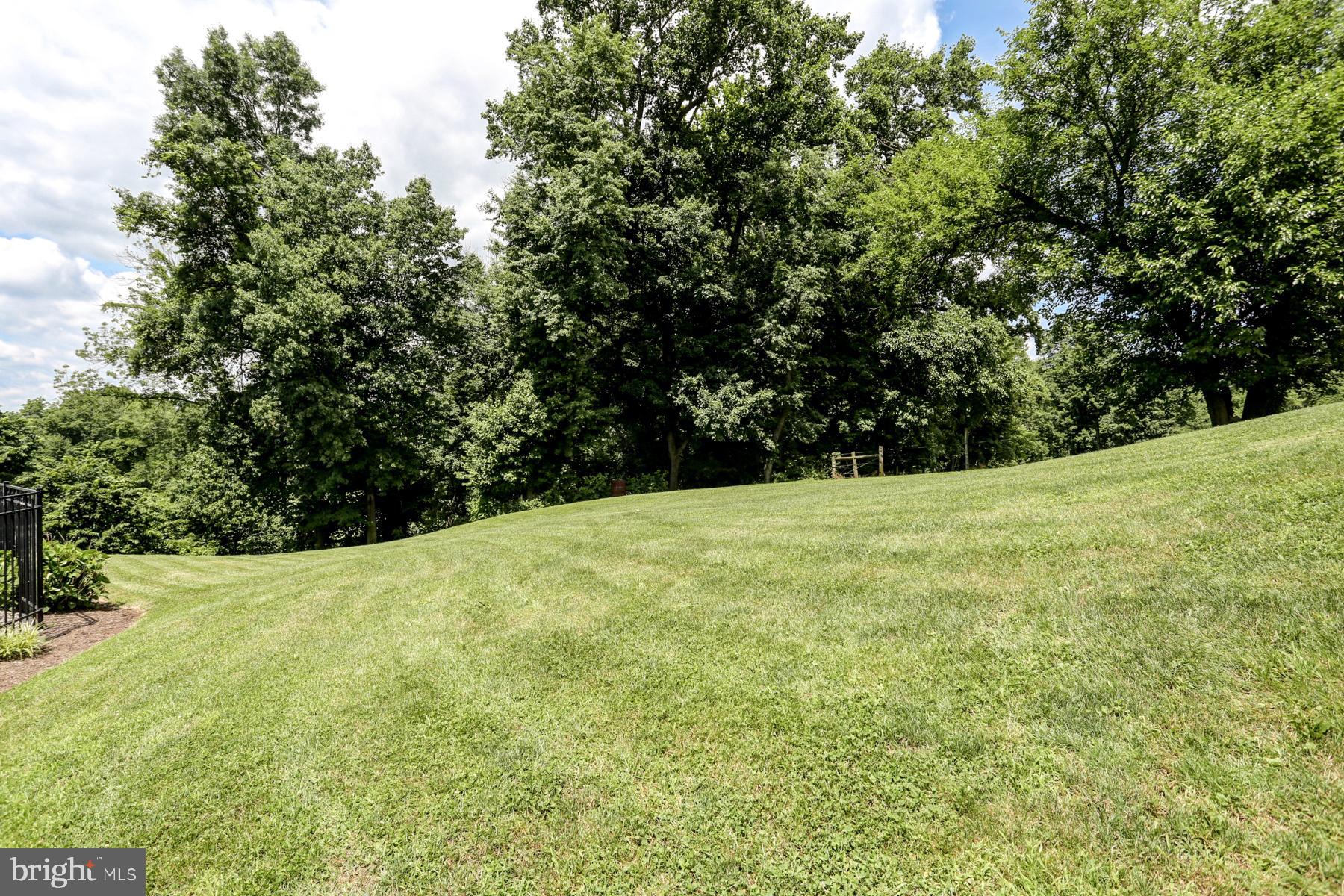 1377 Colebrook Road Middletown, PA 17057 - Photo 59 of 59 Gallery Image 59