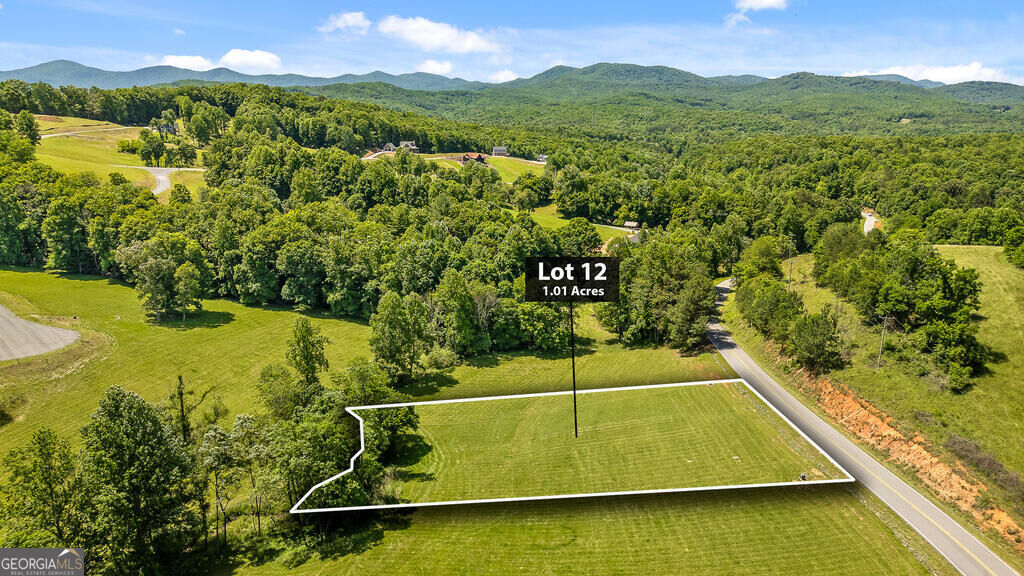 Lot 11 Squirrel Hunting Road Morganton, GA 30560 - Photo 5 of 14 Gallery Image 5