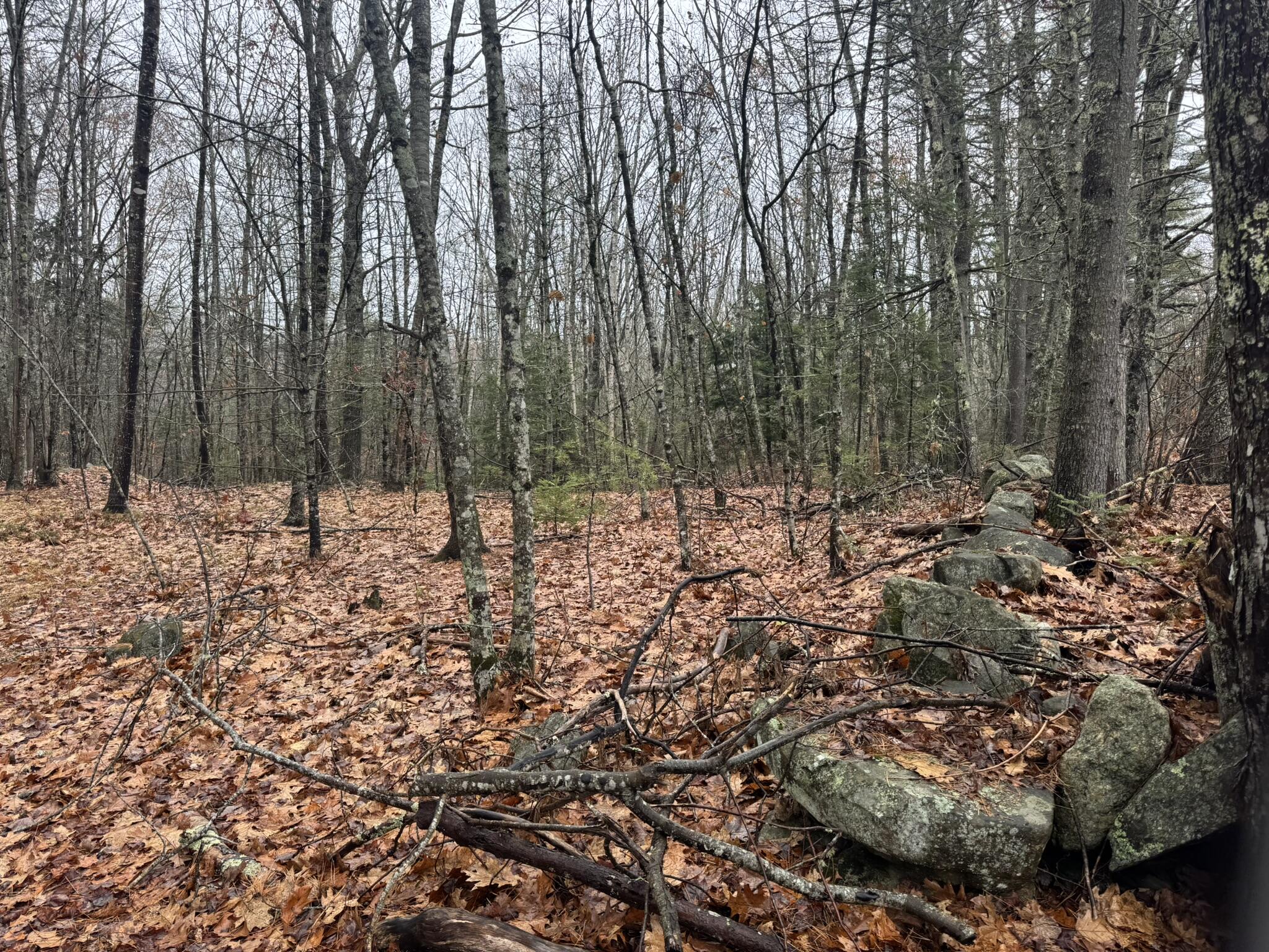 Lot #9-9a Lot#9-9a Knoll Crest Road Nobleboro, ME 04555 - Photo 1 of 3 0293B077-6385-43BD-9E9B-06B016D8E897_1_1