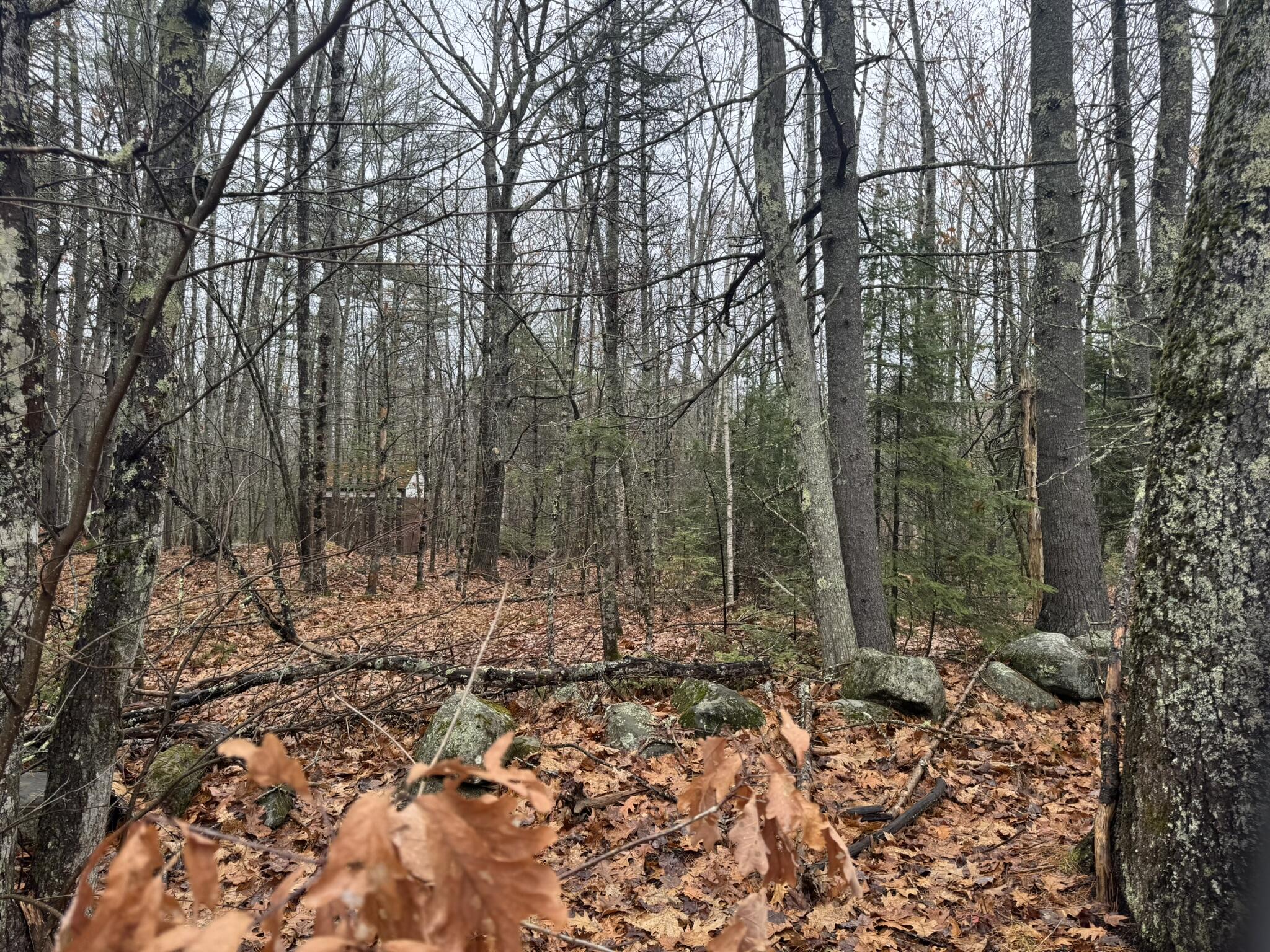 Lot #9-9a Lot#9-9a Knoll Crest Road Nobleboro, ME 04555 - Photo 2 of 3 B1929F50-2F31-4216-A740-A6582048DC7A_1_1