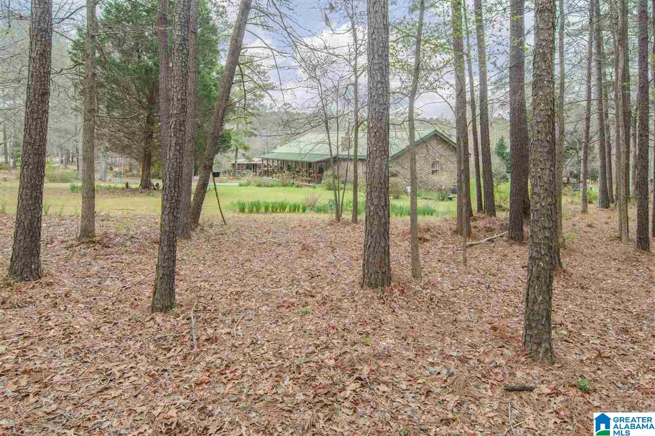 331 Highway 36 Chelsea, AL 35043 - Photo 35 of 36