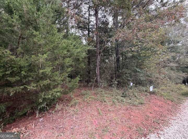 0 Lebanon Church Road, Unit TRACT 1 Jefferson, GA 30549 - Photo 4 of 15 Gallery Image 4
