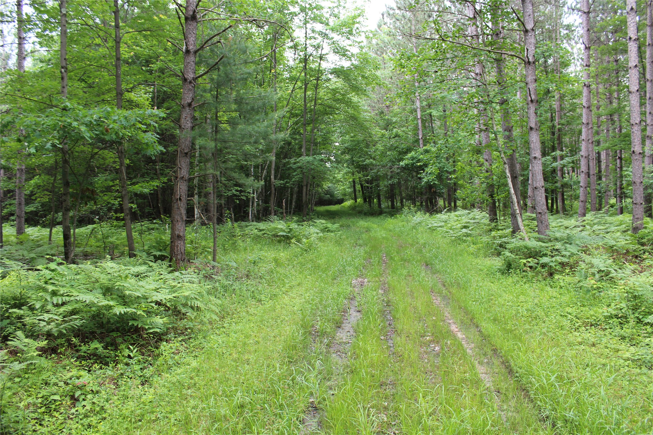 0 Rouse Road Neillsville, WI 54456 - Photo 13 of 27