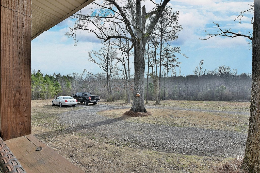 1661 Raleigh Road Manchester, GA 31816 - Photo 24 of 29 Gallery Image 24