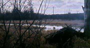 Centerline Road Reed City, MI 49677 - Photo 3 of 3 Additional Photo