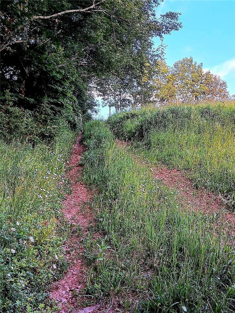 295 Pleasant Valley Road North Branch, NY 12766 - Photo 17 of 17 a picture of trees