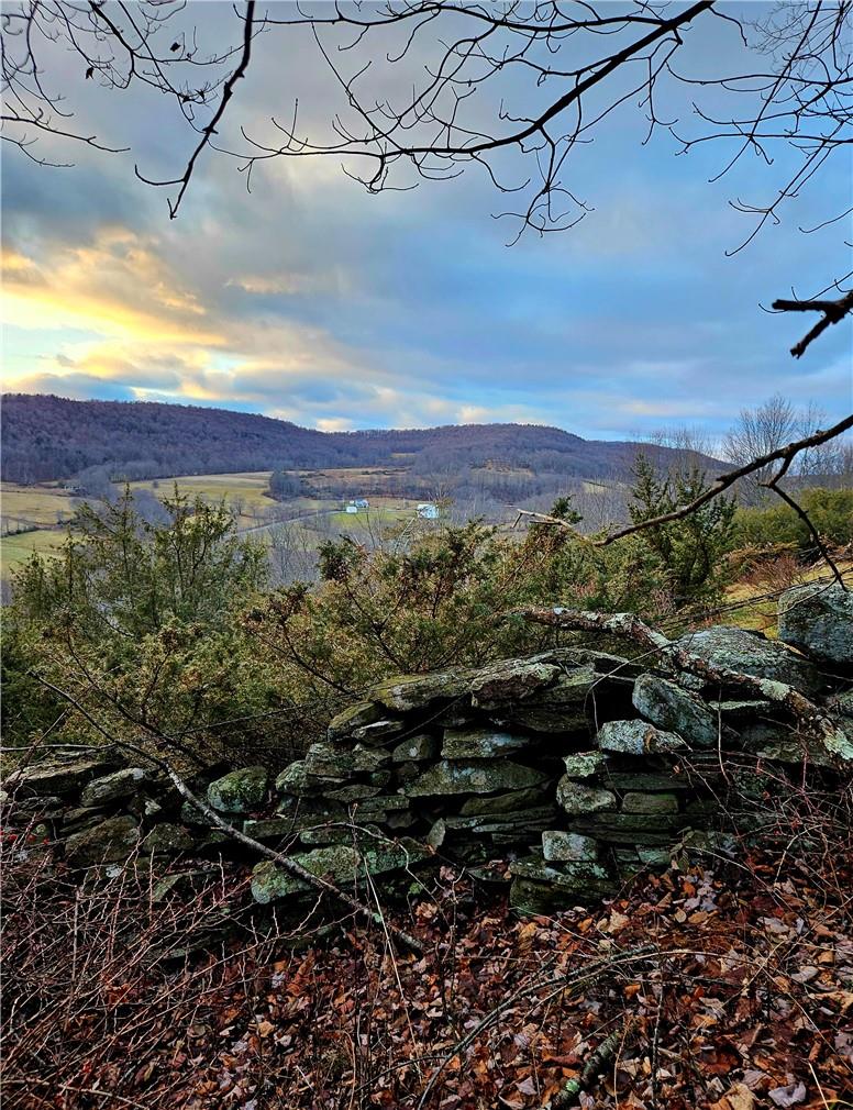 295 Pleasant Valley Road North Branch, NY 12766 - Photo 6 of 17 a view of a city