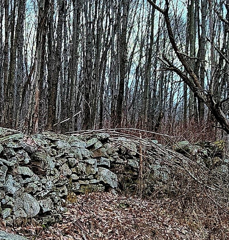 295 Pleasant Valley Road North Branch, NY 12766 - Photo 7 of 17