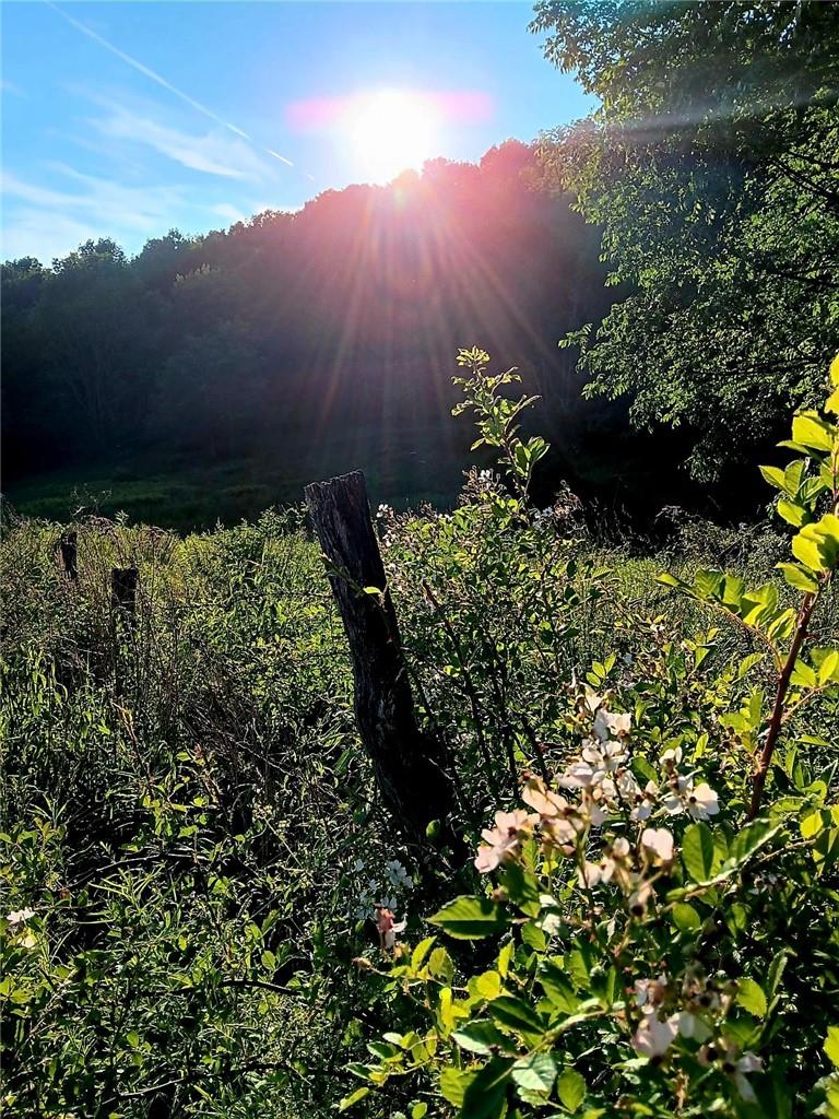 295 Pleasant Valley Road North Branch, NY 12766 - Photo 10 of 17