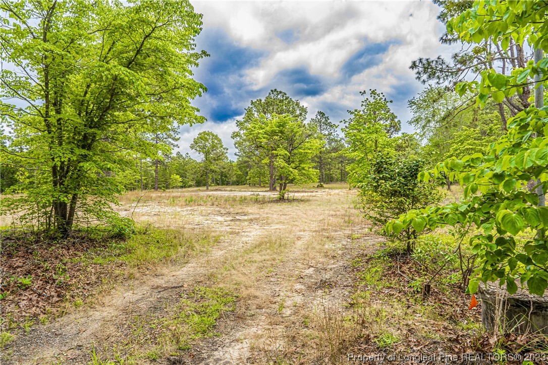 721 Furr Road Vass, NC 28394 - Photo 3 of 11 Gallery Image 3